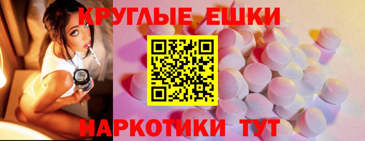 Алексеевка  omg как войти  Экстази диски  Вход с VPN  ЭКСТАЗИ бентли  ЭКСТАЗИ 