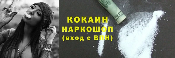 PSILOCYBIN Рославль