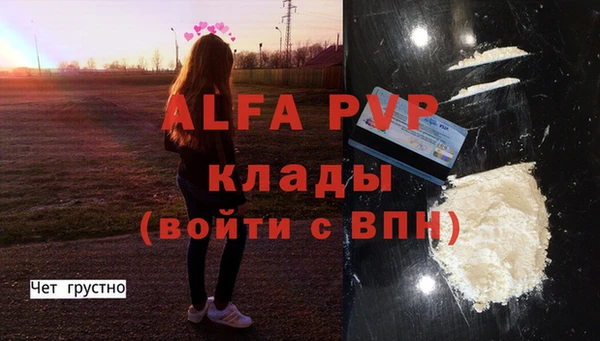 PSILOCYBIN Рославль