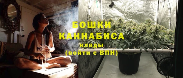 PSILOCYBIN Рославль