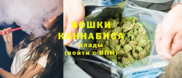 бошки Алексин