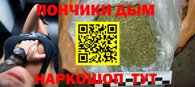 индика Баксан