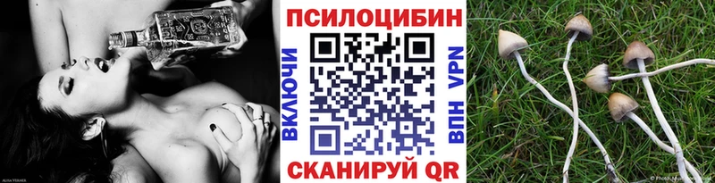 Галлюциногенные грибы Magic Shrooms  Алексеевка 