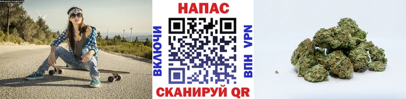 как найти наркотики  Алексеевка  Бошки Шишки SATIVA & INDICA 